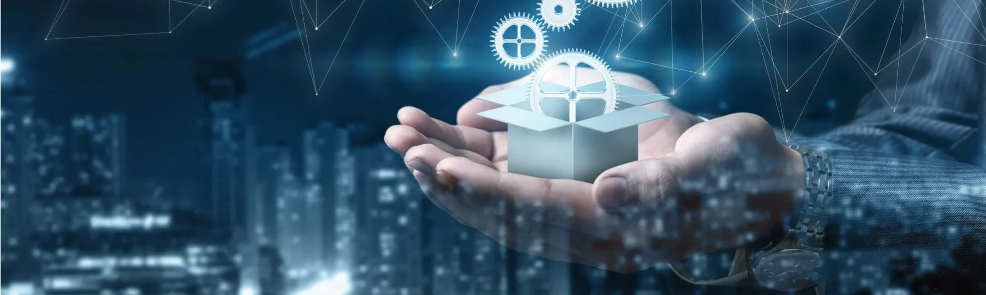 Product Lifecycle Management (PLM)